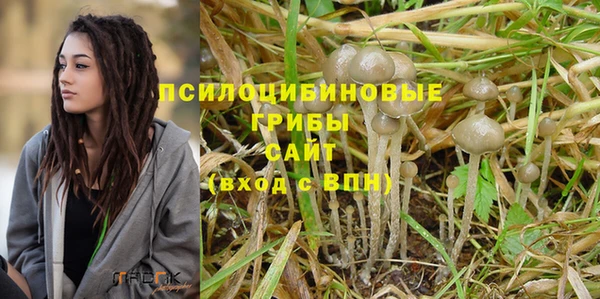 винт Алексеевка