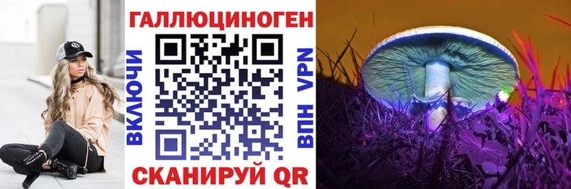где купить   Нижняя Салда  Галлюциногенные грибы MAGIC MUSHROOMS 